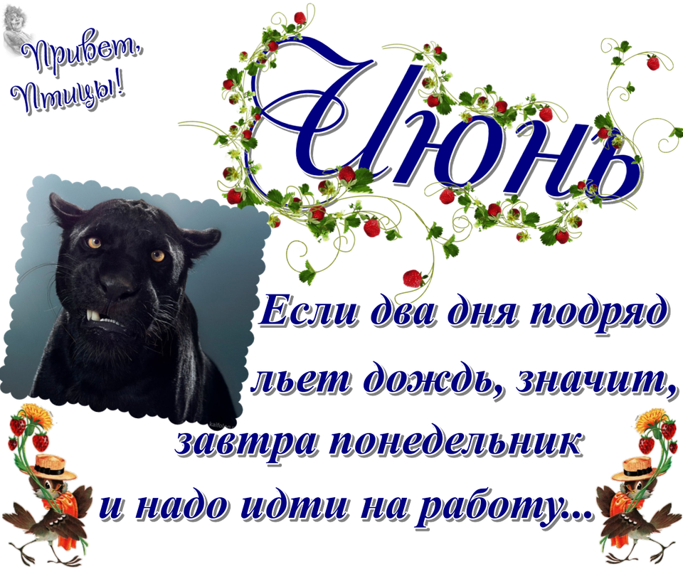 https://i.postimg.cc/76NfKVqT/25-06.png