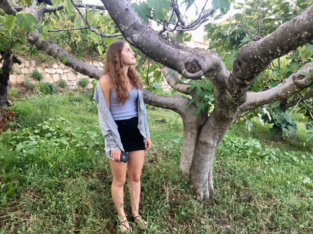 2343D46C-DAC3-4387-9195-4C849723D8FA