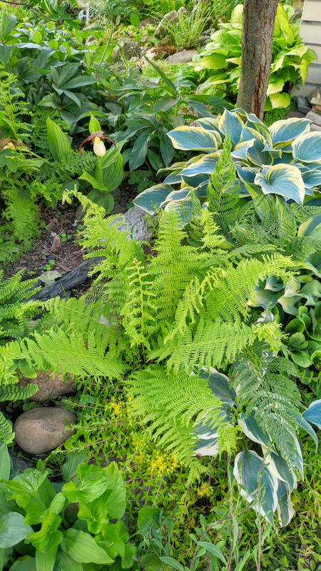 IMG 20250616 201807