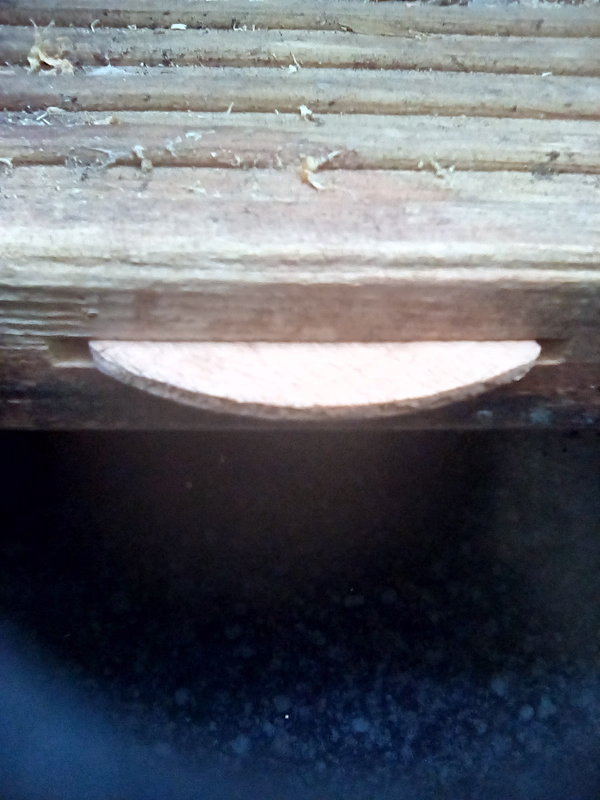 IMG-20260810-124457-5.avif