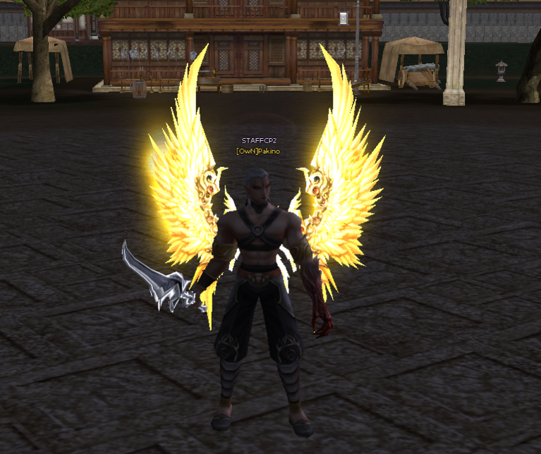 208-E4008-74-F0-4-A42-AFDC-A01492-E88803 (1)