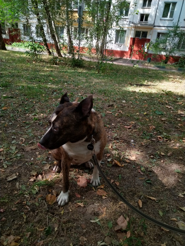 8DD1DC26-2B88-413D-BB87-FED6ABE28A81