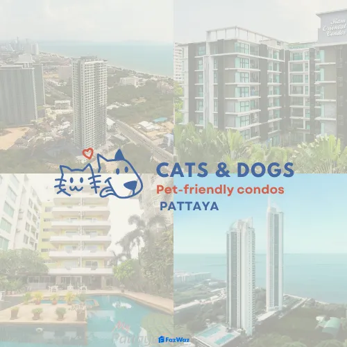 Top 12 PetFriendly Condos for My Furry Friend FazWaz