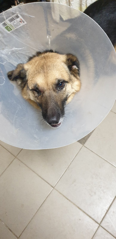 изображение_viber_2021-03-31_15-00-12