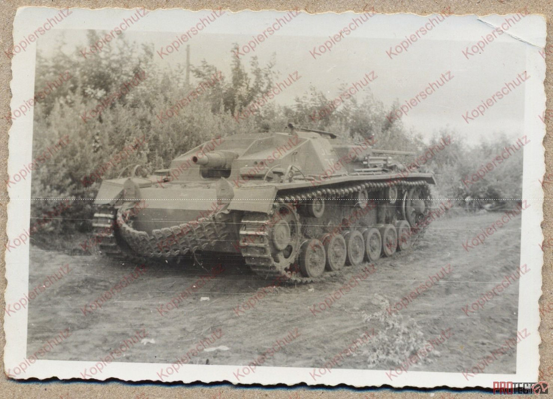 Orig.Foto Sturmgeschütz Ostfront Ostkette
