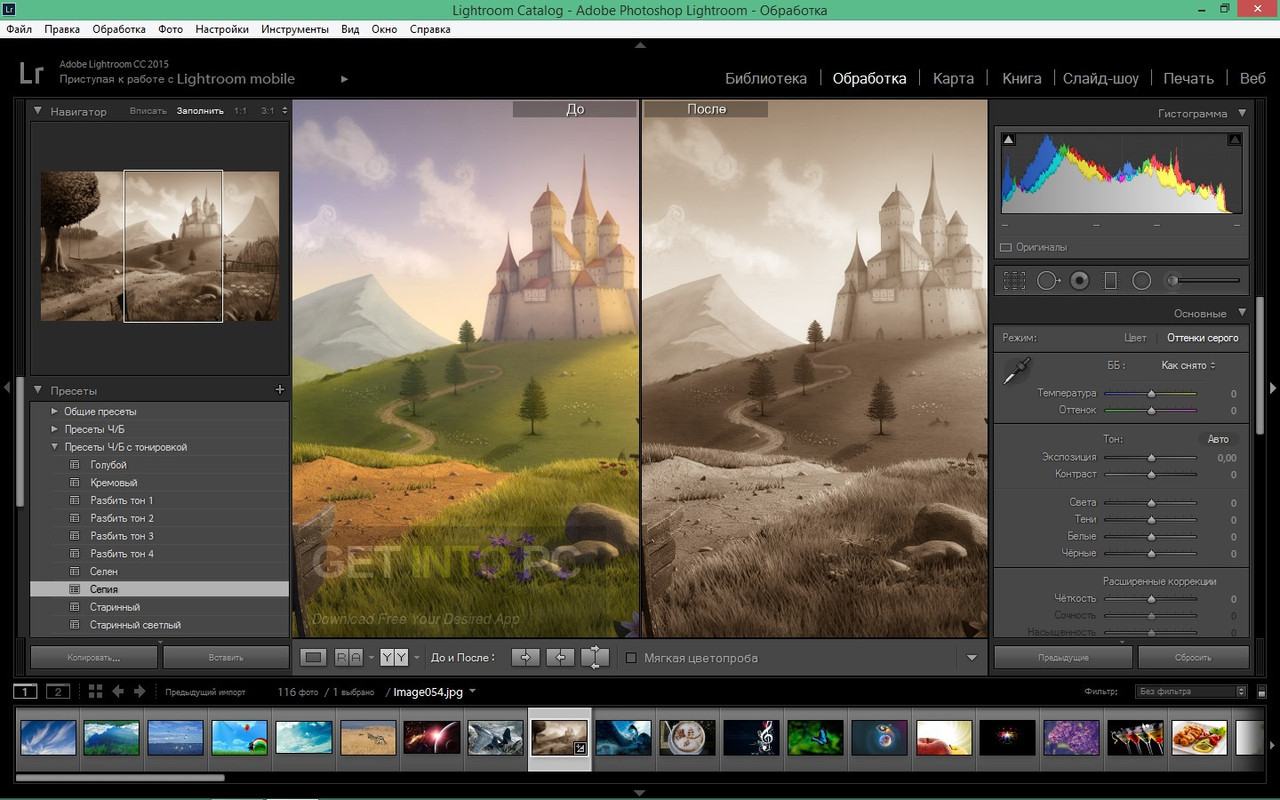 Adobe Photoshop Lightroom CC Edición y organización 4