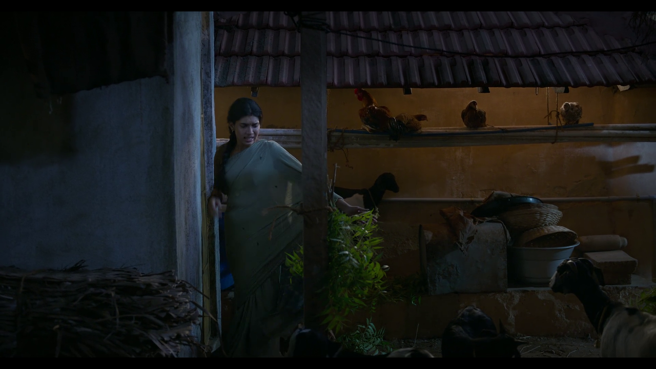 vlcsnap-2025-04-24-21h05m57s045