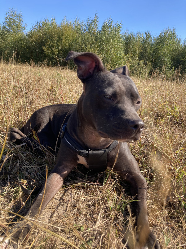 B0F6C2F5-2409-4C58-88B1-8F755DD3C8AB