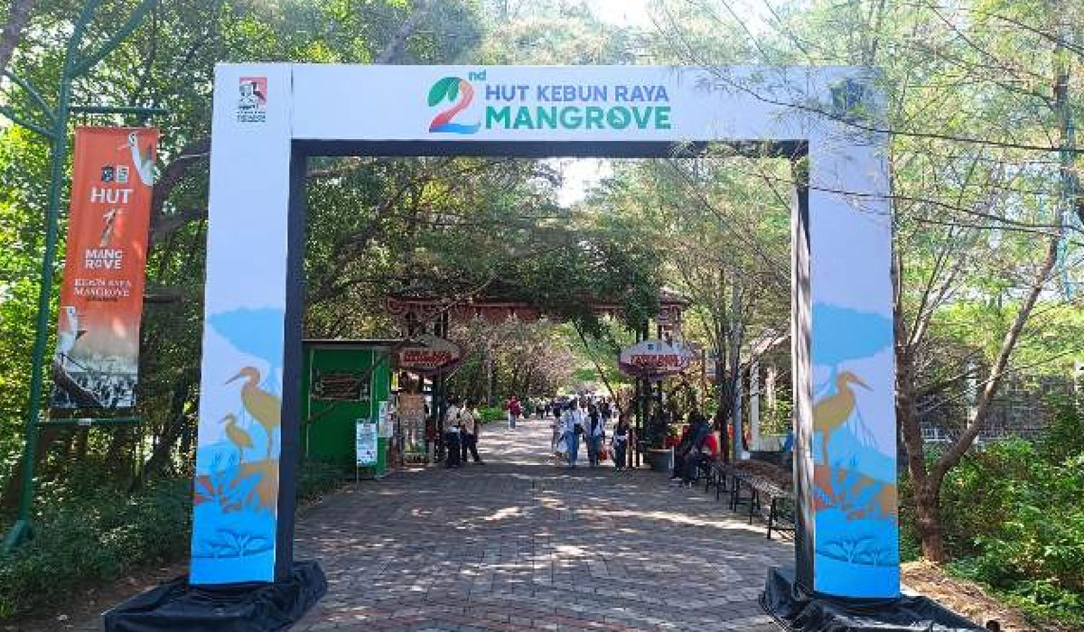 Inovasi & Pengembangan Sumber Pangan Alternatif