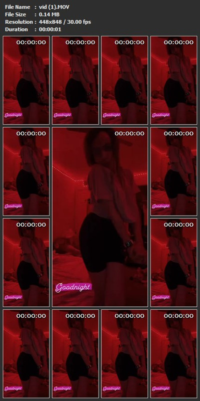vid (1).MOV