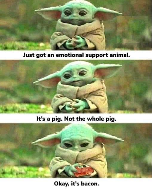 BACON-YODA