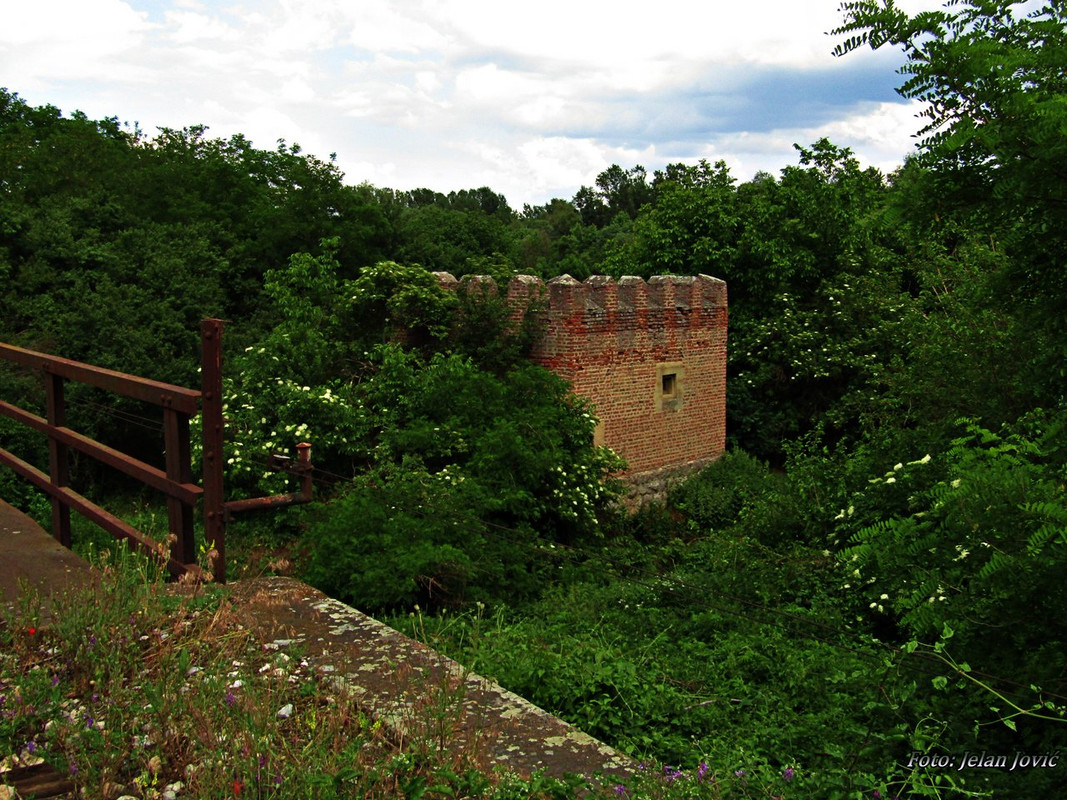 194. Pruga Zaječar-Vražogrnac