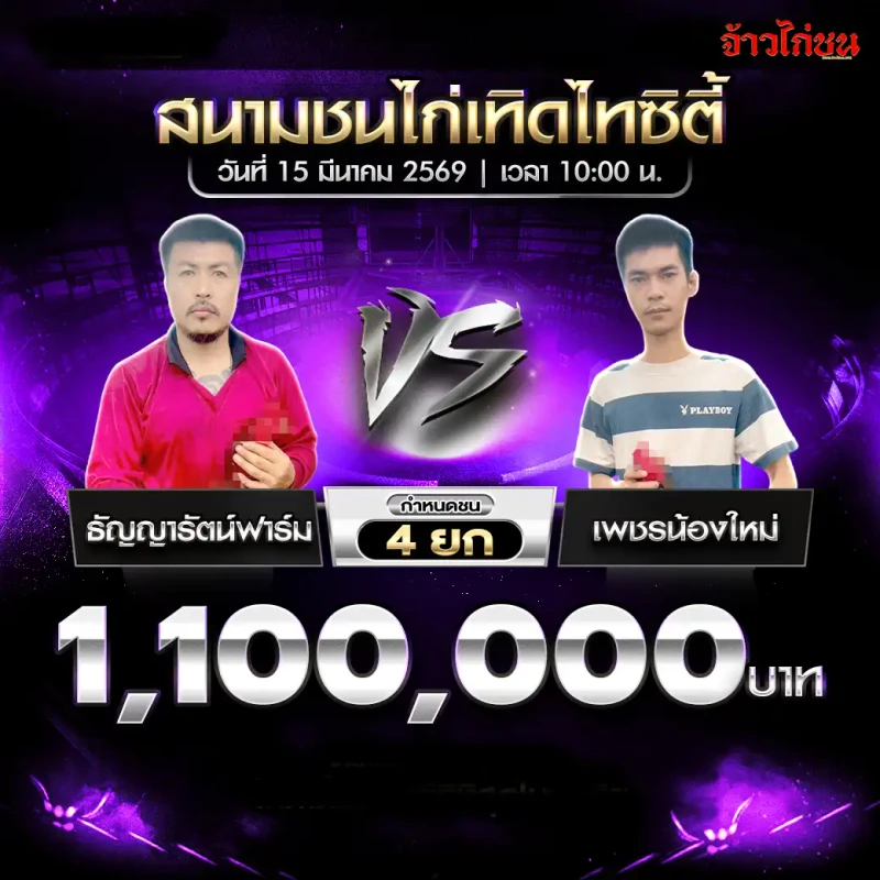 โปรแกรมไก่ชน คู่ ปุณยวีย์ฟาร์ม พบ เพชรพลังหนุ่ม สนามชนไก่เทิดไทซิตี้ 15 มีนาคม 2569