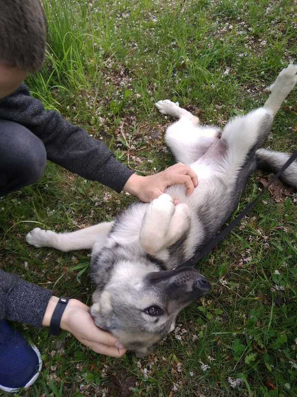 Дженни_05_18_2