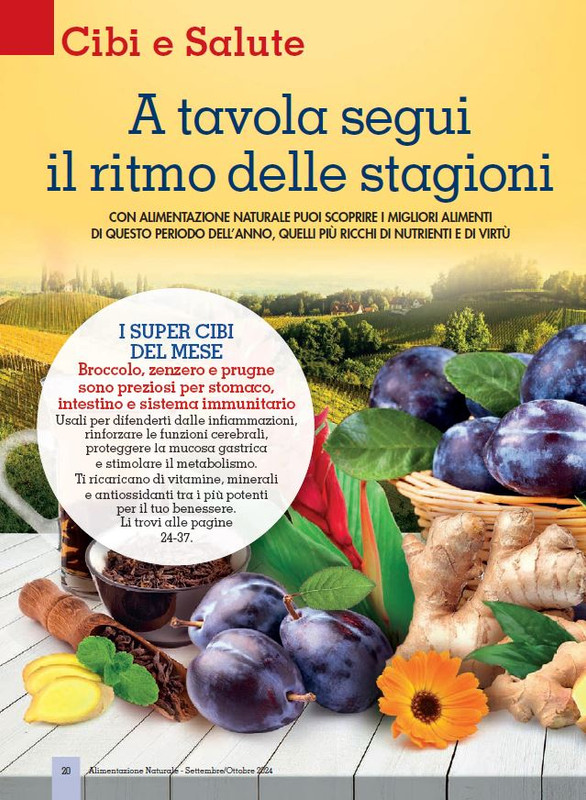 Alim Nat Set-Ott 2024 (1)