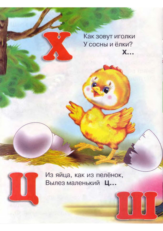 Stepanov-Vladimir-Koshkiny-zagadki-ot-A-do-Ja-page-0013