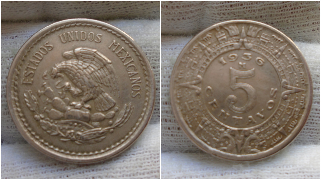 Polish_20200229_170100187