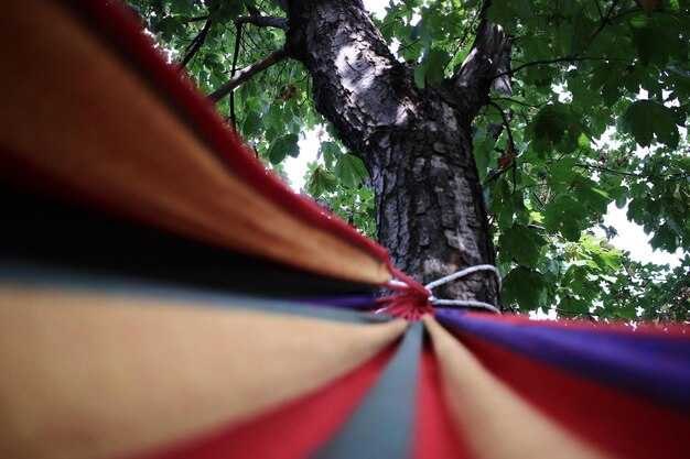 Сравнение коммерческих средств против самодельных