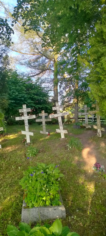 14.15 - IMG20210605191526 (VdL)