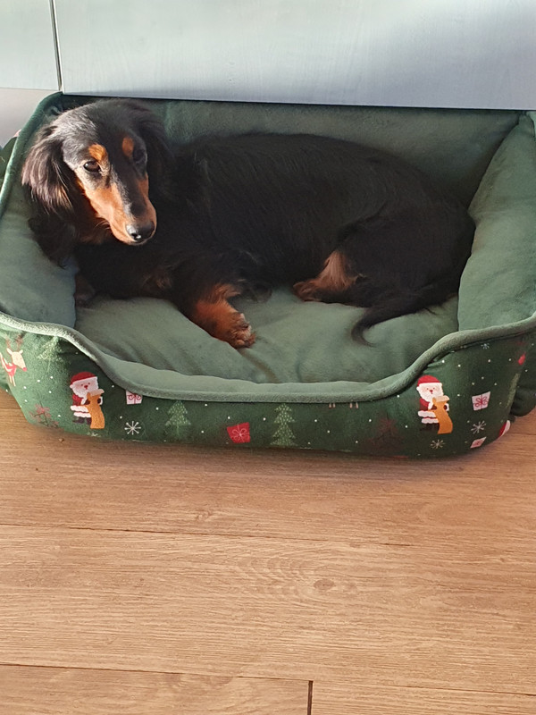 [Image: IMG-20250318-205706.jpg]