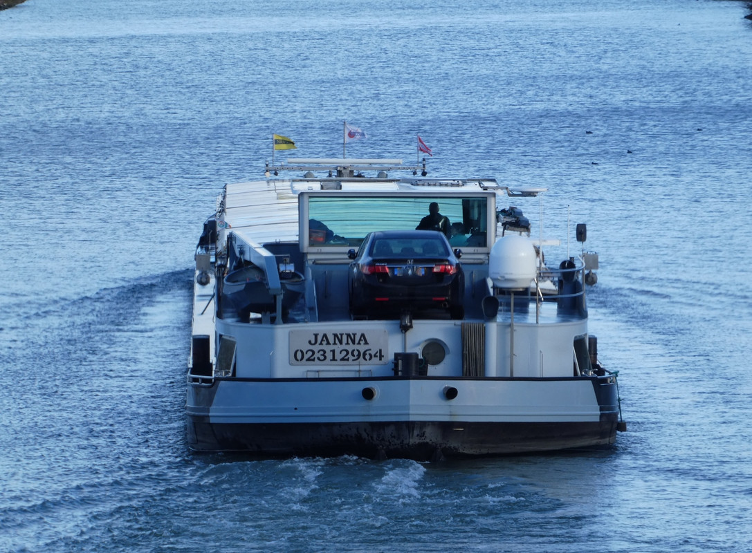 2021.01.12cd Janna (1440x1060)