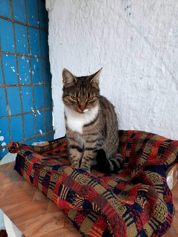 received_385587502802152