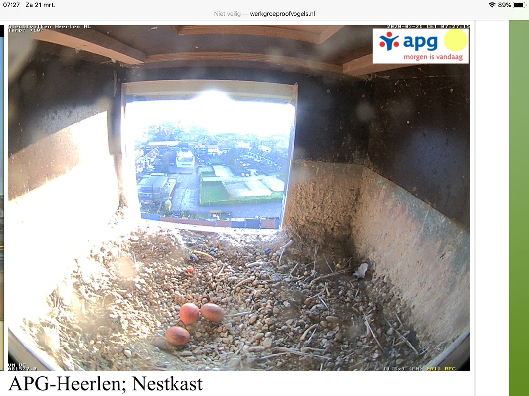 643FFFA6-7E01-4E03-B300-6CB3E0BDF4CA