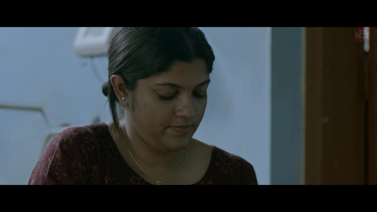 vlcsnap 2026 02 11 15h42m45s571