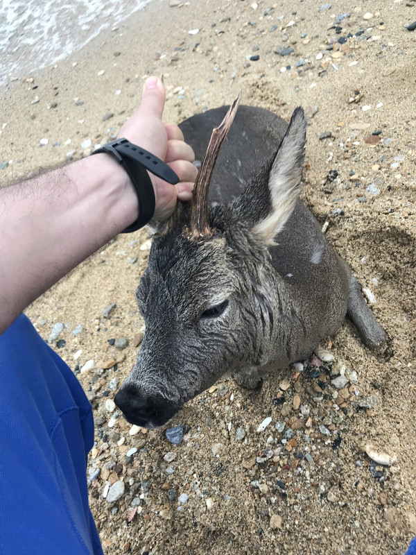 D95B30ED-BFB4-44F1-B5F9-AB5367B9C7DF