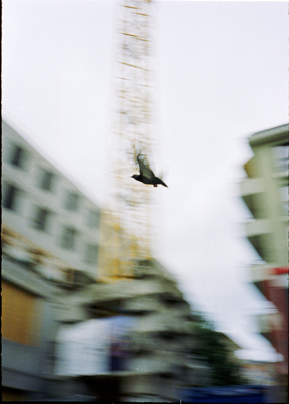 025-07-pentax17-vision250d-32