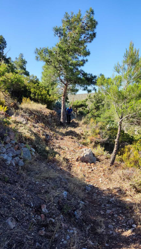 ΚΑΘΑΡΙΣΤΗΚΕ ΤΟ ΜΟΝΟΠΑΤΙ ΠΡΟΣ ΤΟ ΚΑΛΥΒΙ ΤΟΥ ΚΟΥΛΟΥΜΑ ΣΤΟ ΛΙΘΙ