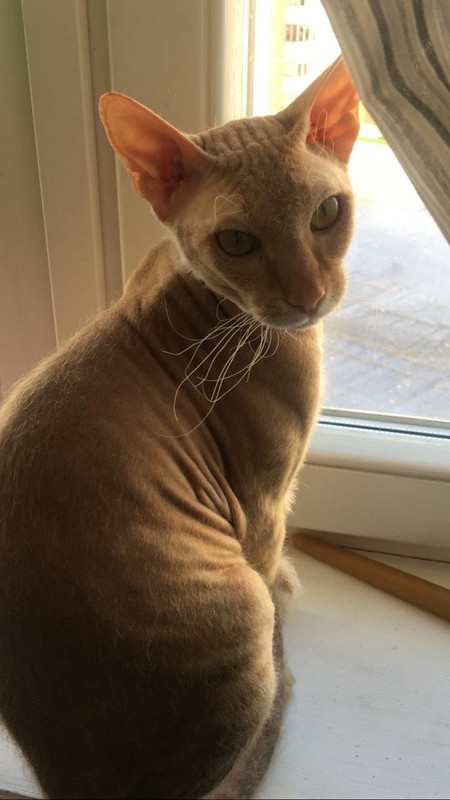 F3658EC3-ADCC-4004-9BD9-E72F7D725DD4