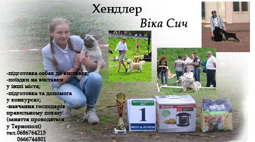 Без имени-2-1