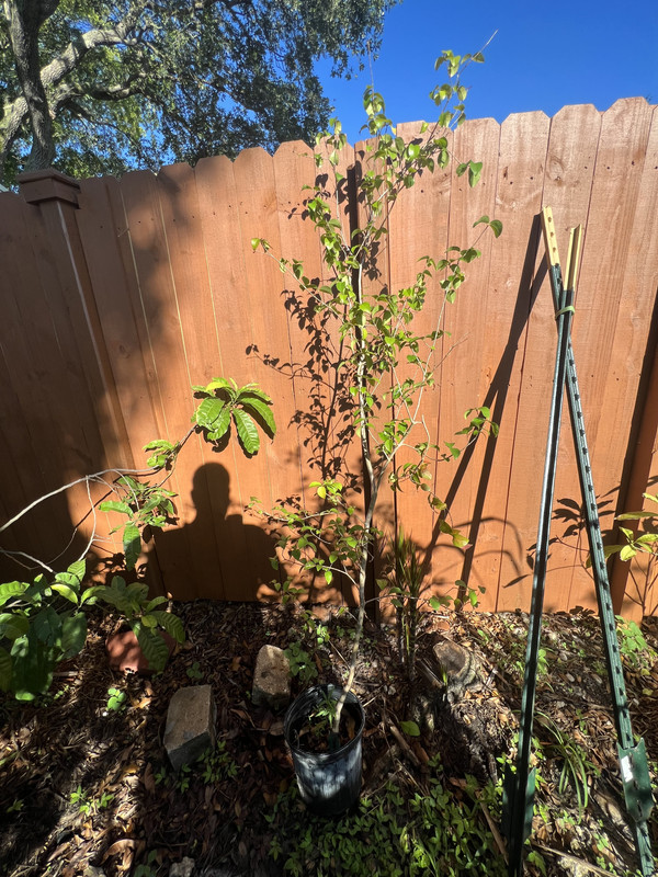 4CF6A2E9-62B4-498F-8D0E-D2BC0DA33EB9