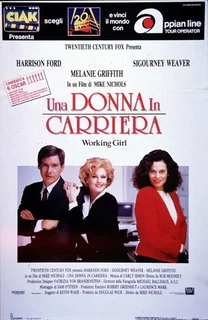 Una donna in carriera (1988).mkv BDRip 576p x264 AC3 iTA-ENG