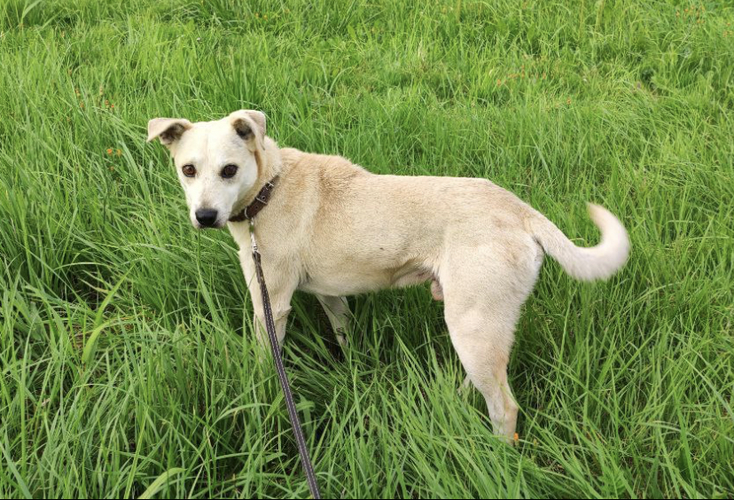 9383BCF0-D322-4274-93CF-F9BD15A46C3D