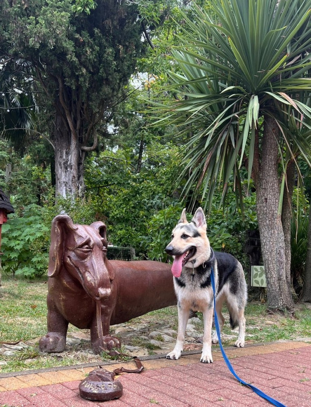 EOsTipF-Z4fuRnyX_8bmmOFvUC9SAtKzxGRaJVEMny-lF63DVA3W6WdWZWbIJ4zU3QJwYR1Gro_OWjEG4gmWfOFA