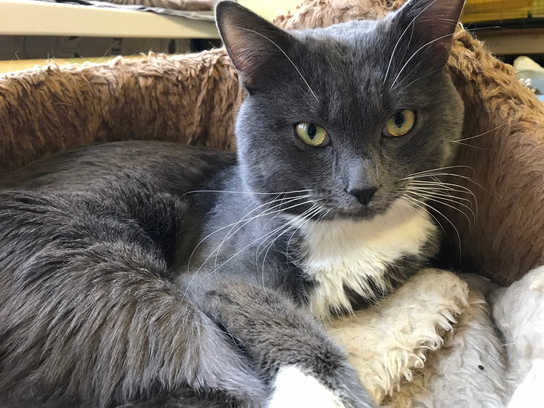 651B4807-AD53-479A-87DB-FE2ED1EECD88