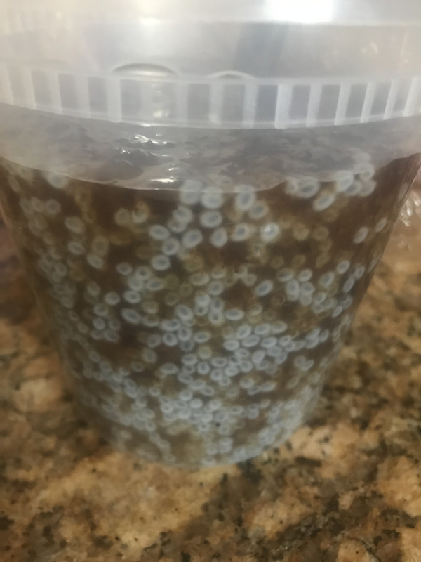 [Image: 7DB9BB73-595D-48A7-AAF9-8617FF6E9EA0.jpg]