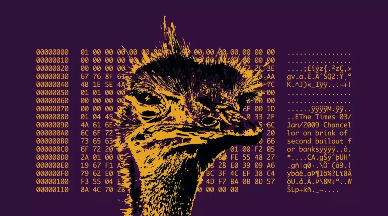 Profile Banner