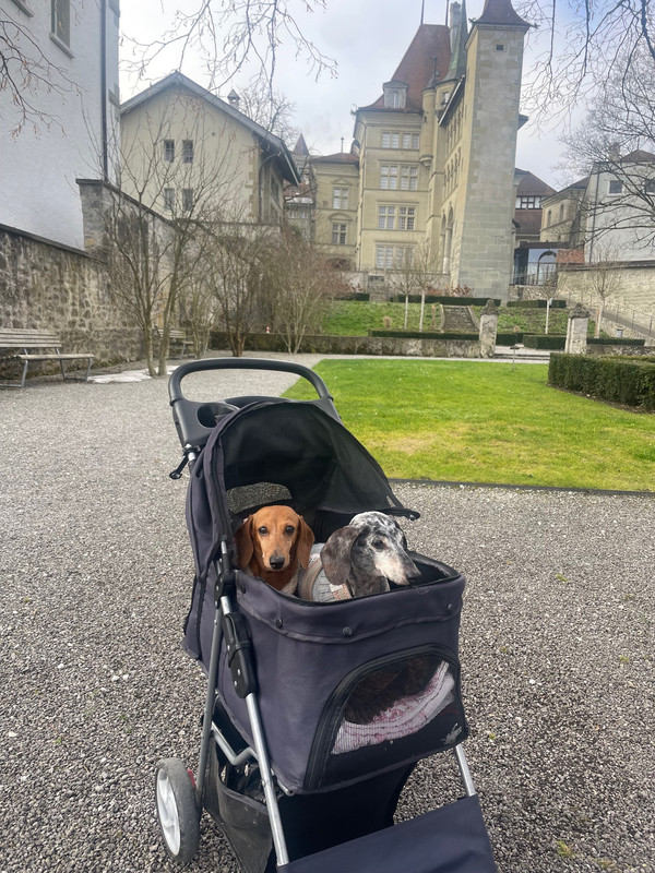 [Image: IMG-8102.jpg]