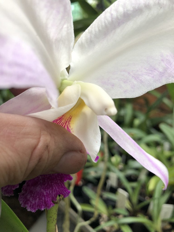 20221209_000113068_iOS