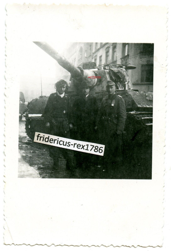 C47 Foto Panzer PzKpfw VI Tiger II Königstiger Endkampf Ostpreußen Frühjahr 45 (3)
