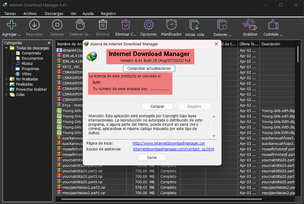 Internet Download Manager v6.41 Build 18 [Mi Favorito Gestor de Descarga] 13-08-2023-13-26-06