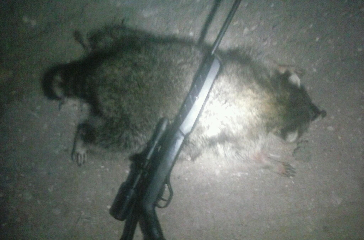 28B0B3C3-BBE6-4926-97A1-084AB506009F