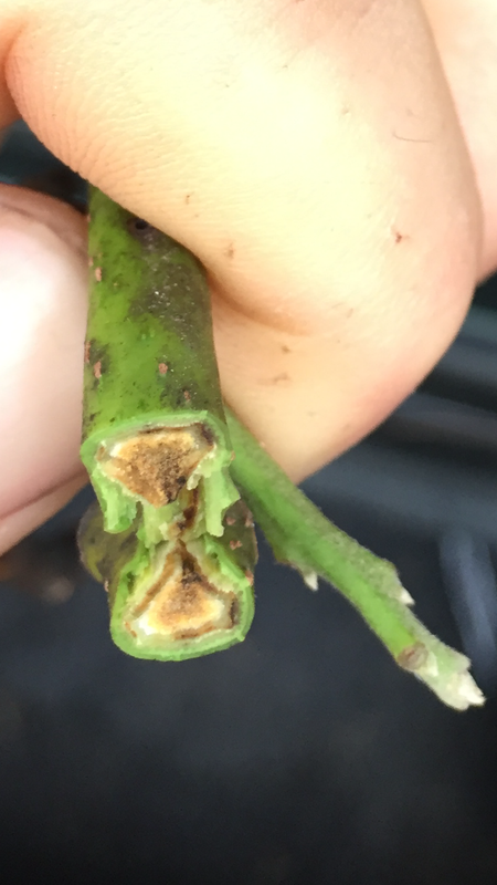 790B30D2-2FC6-4570-A388-A2765F35BF79