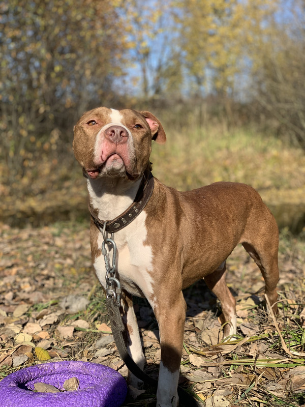 0CE7A4A3-AA2F-4CF0-9350-DC0ED077E217