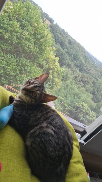 WhatsApp Image 2021-09-12 at 12.15.33