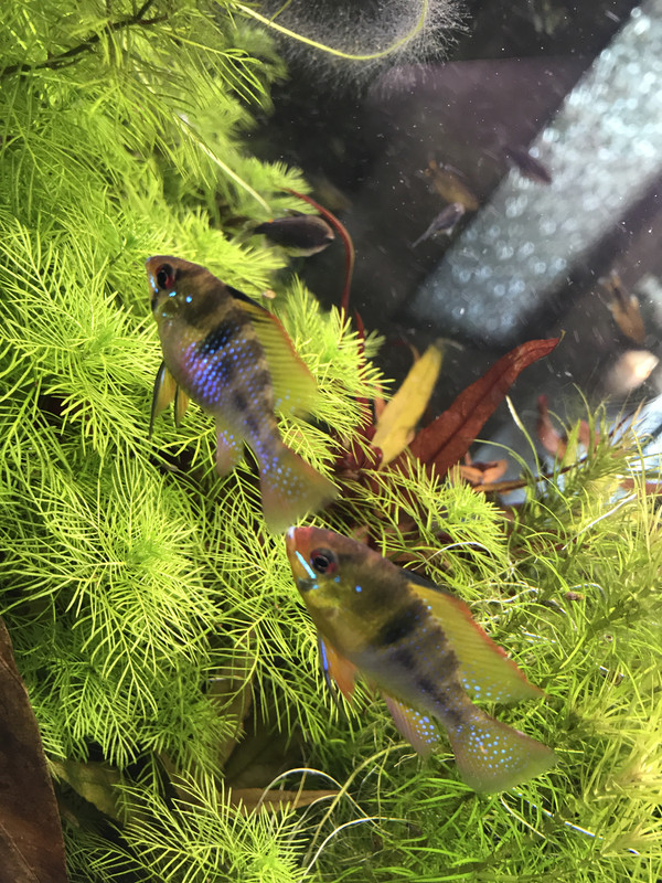 ED25DFA0-1FB2-4003-9A35-15533BA82C1A