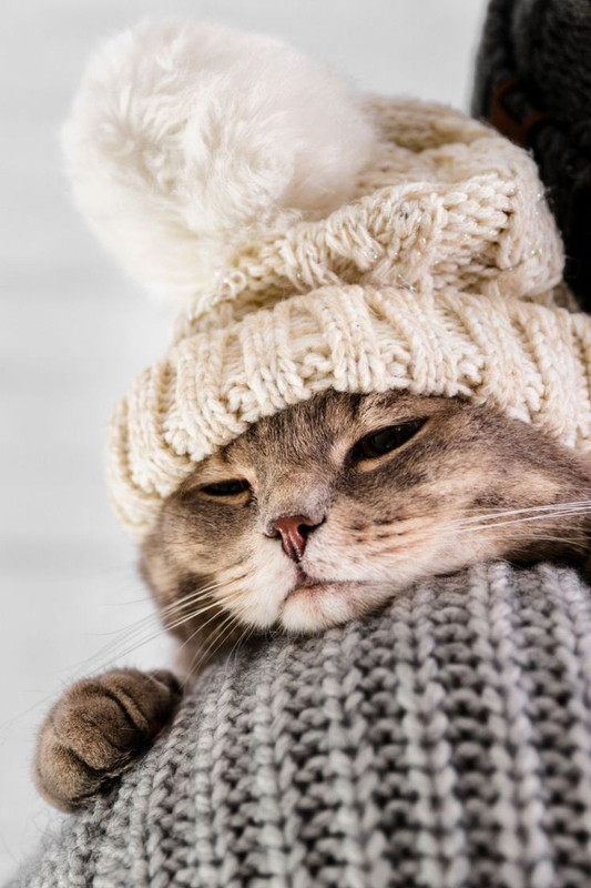 5c8cd5445fcf9ed8078217bf6fb67e73